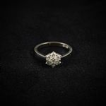 1706 7104 Ring